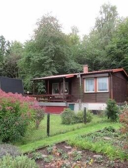 Wochenend- und Ferienhausgrundstück mit Bungalow, Finnhütte und Gerätehaus - Georgenthal