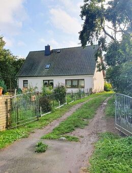 Ländlicher Bauernhof mit großem Grundstück und Scheune - ideal für Tierhaltung oder Selbstversorger - Süderholz