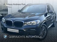 BMW X3, xDrive20d M Sport HiFi, Jahr 2021 - Riesa