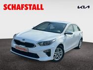 Kia Ceed Vision 1.4 T-GDI Automatik Navi Kamera Tempomat Carlplay - Bergheim (Nordrhein-Westfalen)