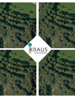 Schöne Waldgrundstücke in LIEBMANNSBERG !!! - Grattersdorf