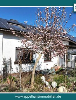 Großes Mehrgenerationenhaus mit riesem Garten in Ostercappeln! - Ostercappeln