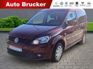 VW Caddy, 1.6 TDI Kasten Kombi Roncalli Edition, Jahr 2011 - Marktredwitz