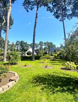 Provisionsfrei! Bungalow in traumhafter Lage in der Waldsiedlung von Wildau! - Wildau