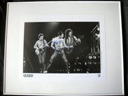 QUEEN Freddie Mercury Original-Autogramm auf Großfoto, von 1980 - Wuppertal