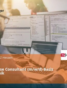 SAP Inhouse Consultant (m/w/d) Basis und Technik - Gießen