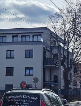 Penthousewohnung mit grosser Terrasse - Eberswalde