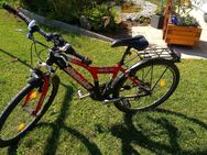 26 Zoll Jugend / Kinderfahrrad - Markt Indersdorf