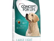 12 kg Concept for Life zum Sonderpreis! - Large Light