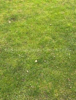 moderne DHH - So viel Platz für meine Familie - Marktheidenfeld