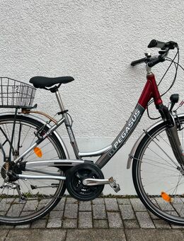 Damen Fahrrad 28 Zoll - München