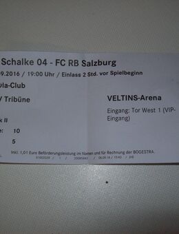 Schalke Eintrittskarte - Erwitte