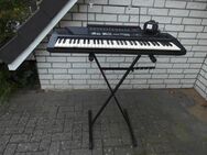 Hohner PSK-7 Multimedia Keyboard mit Netzteil und Ständer 39,- - Flensburg