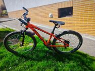 Kinder / Jugendfahrrad - Jesberg