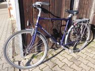 Herrenrad 28'' - Grünstadt