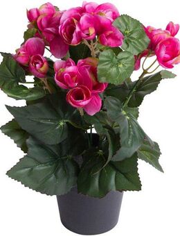 Kunstblume Begonienbusch mit 7 Stielen, Botanic-Haus, Höhe 26 cm