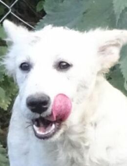 RITA 2 soll endlich glücklich werden - Gefrees