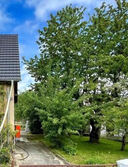 Sanierungsbedürftige Doppelhaushälfte - Steina