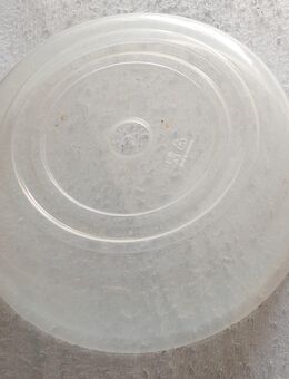 Mikrowellen-Teller, Abdeckhaube - Landau (Pfalz)