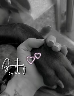 Suche liebevolles Zuhause - Friedenfels