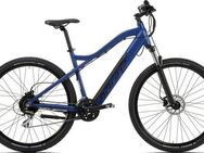 Adore E-Bike Mountainbike Enforce, 24 Gang Shimano Acera Schaltwerk, Kettenschaltung, Heckmotor, 504 Wh, Pedelec, Elektrofahrrad für Damen u. Herren, MTB