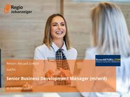 Senior Business Development Manager (m/w/d) - Koblenz