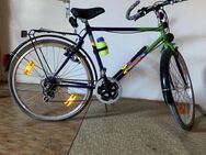 Epple Fahrrad unbenutzt: Trinkflasche + Halterung + Satteltasche - Moosbach