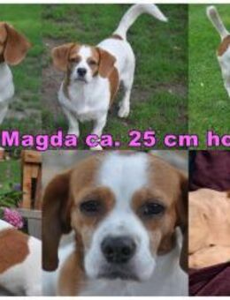 Magda ist eine Frohnatur - Schafflund