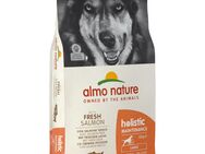 Almo Nature Holistic Adult Lachs und Reis Large - 12 kg
