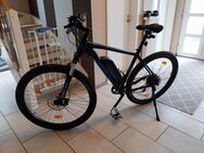 Fischer montis 2.1 e bike 418wh, 29zoll, 51cm Rahmen - Idstein