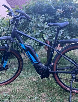 BULLS E-Bike LT CX500 Bosch Motor Rahmengr.41 unisex - Alzenau Michelbach