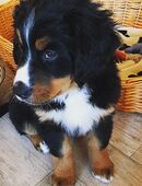 Suche sie für Zweisamkeit in 31061