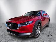 Mazda CX-30, 2.0 L e X 186ps 6AT FWD Exclusive, Jahr 2022 - Kiel