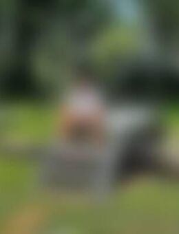 Tho*** - Bitterfeld-Wolfen Bitterfeld