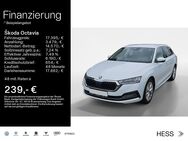 Skoda Octavia, 1.0 Combi Style SMART LINK, Jahr 2020 - Büdingen Zentrum