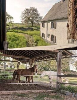 Außergewöhnliches Anwesen mit großem Areal und diversen Nebengebäuden - Münstermaifeld