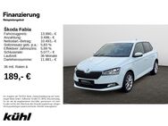 Skoda Fabia, 1.0 TSI Soleil, Jahr 2019 - Hildesheim