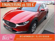 Mazda CX-30 RFK PDC LED SHZ CarPlay - Ostfildern