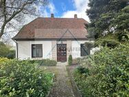 Freistehendes Einfamilienhaus in Neuenkirchen zu verkaufen - Neuenkirchen (Landkreis Diepholz)