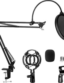 Mikrofon mit Schwenkarm - Garching (Alz)