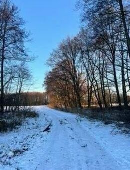 Zwischen Natur und Stadt: Die Zukunft des energieeffizienten Wohnens mit Förderung durch KfW40 - Oranienburg