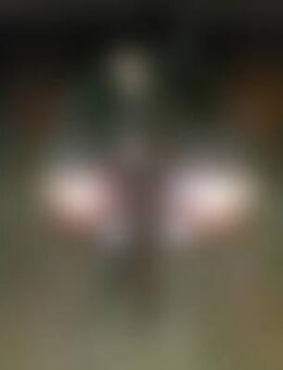 Pas*** - Schöningen