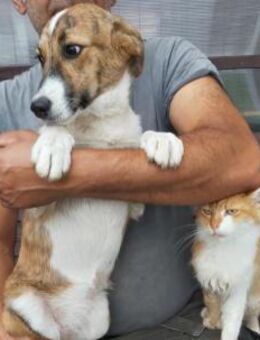 Nelly sucht ihr Zuhause - Großefehn