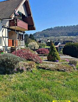 EIN LANDSITZ IM SPESSART - FACHWERKENSEMBLE MIT 2 HÄUSERN UND BAUPLATZ - Laufach