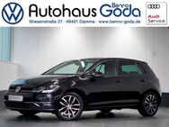 VW Golf, 1.6 TDI Comfortline, Jahr 2017 - Damme