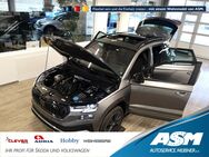 Skoda Karoq, 1.5 TSI Sportline PSD ° ANT, Jahr 2025 - Blankenburg (Harz)