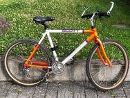SCOTT MOUTAINBIKE, 26 Zoll - Allensbach