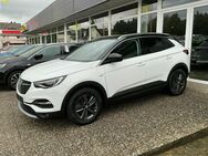 Opel Grandland, Opel 2020, Jahr 2020 - Niederahr