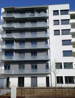 Hochwertige 2-Zimmer-Wohnung im Zentrum von Lörrach - Lörrach