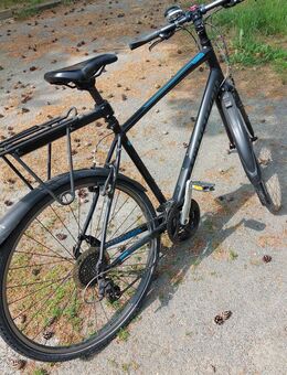Herren Fahrrad 28" - Neustadt (Sachsen)